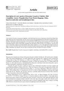 Description of a new species of the genus Xenophrys Günther, 1864 (Amphibia: Anura: Megophryidae) from Mount Jinggang, China, based on molecular and morphological data