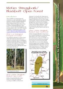 Introduction These guidelines provide background information to assist landholders to identify remnants of McKies Stringybark/Blackbutt Open Forest in the Nandewar and New England Tableland Bioregion (known here