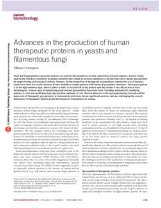 © 2004 Nature Publishing Group http://www.nature.com/naturebiotechnology  REVIEW Advances in the production of human therapeutic proteins in yeasts and