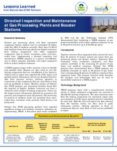 Directed Inspection and Maintenance at Gas Processing Plants and Booster Stations