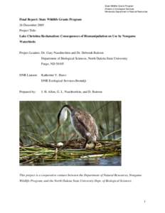 Lake Christina reclamation:  consequences of biomanipulation on use by nongame waterbirds