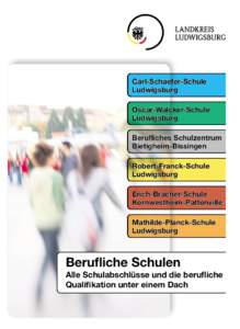 Carl-Schaefer-Schule Ludwigsburg Oscar-Walcker-Schule Ludwigsburg Beruﬂiches Schulzentrum Bietigheim-Bissingen