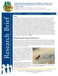 Improved Feeding Management of Indigenous Chicken Layers Raised in Semi-scavenging System by Pastoralist in Marsabit County, Kenya Research Brief