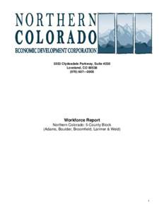 Microsoft Word - Workforce Report-NoCo5County-May 2012