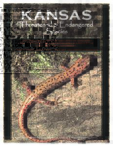 KANSAS Threatened & Endangered Species A COMPREHENSIVE GUIDE TO SPECIES LISTED OR CONSIDERED FOR LISTING AS THREATENED OR ENDANGERED IN KANSAS BY THE