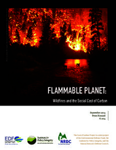 Photo by John McColgan, Bureau of Land Management, Alaska Fire Service  FLAMMABLE PLANET: Wildfires and the Social Cost of Carbon September 2014 Peter Howard