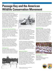 U.S. Fish & Wildlife Service  Passage Key and the American Wildlife Conservation Movement  In 1898, the Tampa Bay area played a