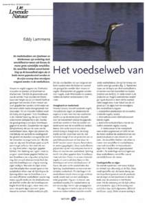 Lammens, E.H.R.RHet voedselweb van IJsselmeer en Markermeer. DLN 102: 