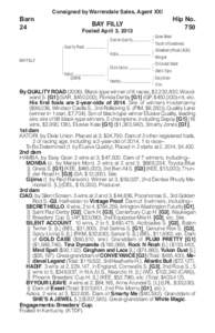 Barn 24 Consigned by Warrendale Sales, Agent XXI  BAY FILLY