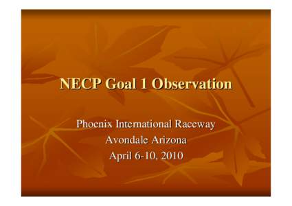 NECP Goal 1 Observation Phoenix International Raceway Avondale Arizona April 6-10, 2010  Phoenix International Raceway