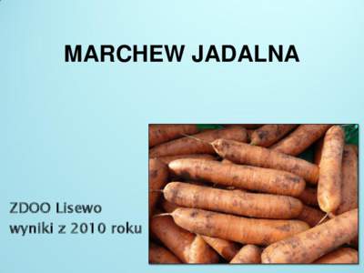 MARCHEW JADALNA  ZDOO Lisewo wyniki z 2010 roku  Plon badanych odmian