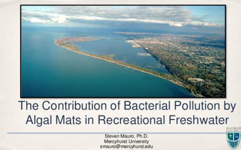 The Contribution of Bacterial Pollution by Algal Mats in Recreational Freshwater