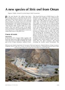 Al Hajar Mountains / Al Batinah Region / Ornithology / Owls / Strix / Asia