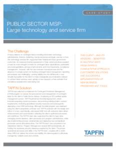 C A S E  S T U D Y PUBLIC SECTOR MSP: Large technology and service firm