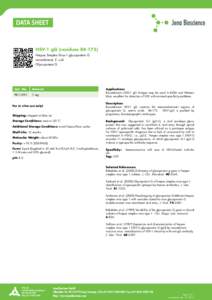 HSV-1 gG (residues[removed]Herpes Simplex Virus-1 glycoprotein G recombinant, E. coli Glycoprotein G  Cat. No.