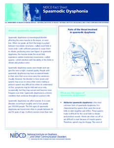 Voice disorders / Neurological disorders / Phonetics / Spasmodic dysphonia / Head and neck / Dysphonia / Dystonia / Botulinum toxin / Spasm / Medicine / Health / Human voice