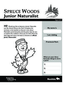 SPRUCE WOODS  Junior Naturalist Ages 6-9