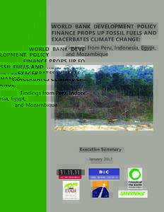 WORLD BANK DEVELOPMENT POLICY FINANCE PROPS UP FOSSIL FUELS AND EXACERBATES CLIMATE CHANGE: Findings from Peru, Indonesia, Egypt, and Mozambique