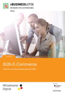 LEITFADEN  B2B-E-Commerce Chancen und Herausforderungen für KMU  B2B-E-Commerce