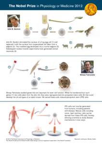 The Nobel Prize in Physiology or Medicine[removed]John B. Gurdon John B. Gurdon eliminated the nucleus of a frog egg cell (1) and replaced it with the nucleus from a specialised cell taken from a