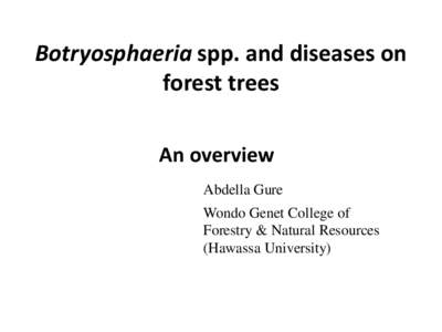 Botryosphaeria spp. and diseases on forest trees An overview Abdella Gure Wondo Genet College of Forestry & Natural Resources