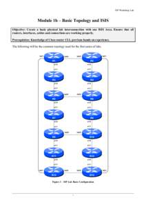 Routing / Internet protocols / Internet standards / Networking hardware / Router / Server appliance / Open Shortest Path First / Cisco IOS / Border Gateway Protocol / Network architecture / Routing protocols / Internet