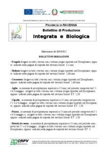 DIREZIONE GENERALE AGRICOLTURA, ECONOMIA ITTICA, ATTIVITÀ FAUNISTICO-VENATORIE  PROVINCIA DI RAVENNA Bollettino di Produzione