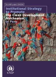 The UNEP project CD4CDM  Institutional Strategy to Promote the Clean Development Mechanism