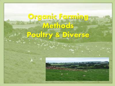Organic Farming Methods Poultry & Diverse Before the start of commercial chicken farming, chickens where kept in coops at night and let to