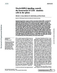 ARTICLE  Notch–RBP-J signaling controls the homeostasis of CD8− dendritic cells in the spleen Michele L. Caton, Matthew R. Smith-Raska, and Boris Reizis