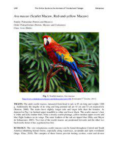 UWI   The Online Guide to the Animals of Trinidad and Tobago 