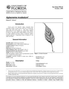 Fact Sheet FPS-25  October, 1999 Aglaonema modestum1 Edward F. Gilman2