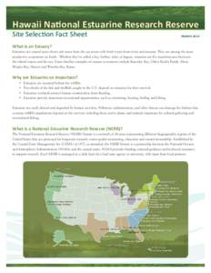 Gulf of Mexico / National Estuarine Research Reserve / Coastal Zone Management Act / Estuary / National Ocean Service / National Oceanic and Atmospheric Administration / Jacques Cousteau National Estuarine Research Reserve / Ashepoo Combahee Edisto Basin National Estuarine Research Reserve / Protected areas of the United States / Geography of the United States / United States