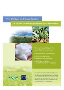 Ethanol fuel / Biology / Sugar beet / Chemistry / Biofuels / Vinasse / Beet / Sugarcane / Agriculture / Sugar / Food and drink / Sweeteners