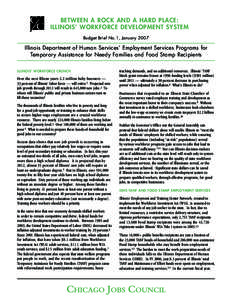 BETWEEN A ROCK AND A HARD PLACE: ILLINOIS’ WORKFORCE DEVELOPMENT SYSTEM Budget Brief No.1, January 2007 Illinois Department of Human Services’ Employment Services Programs for Temporary Assistance for Needy Families 