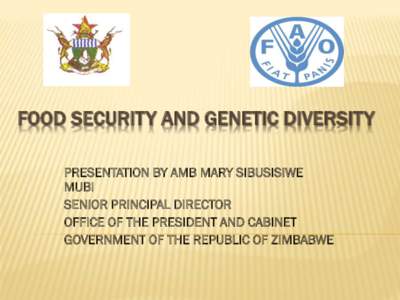 FOOD SECURITY AND GENETIC DIVERSITY PRESENTATION BY AMB MARY SIBUSISIWE MUBI SENIOR PRINCIPAL DIRECTOR OFFICE OF THE PRESIDENT AND CABINET GOVERNMENT OF THE REPUBLIC OF ZIMBABWE