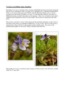 Flora of North America / Ranunculaceae / Botanical Society of the British Isles / Veronica serpyllifolia / Caltha palustris / Flora treatise / Flora / Botany / Biology / Medicinal plants