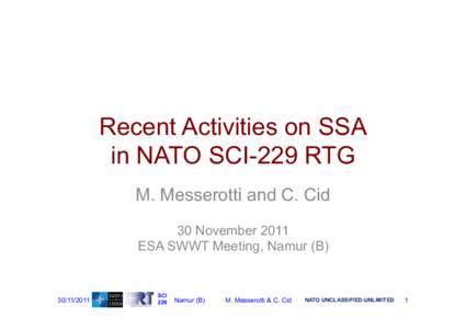 Recent Activities on SSA in NATO SCI-229 RTG M. Messerotti and C. Cid 30 November 2011 ESA SWWT Meeting, Namur (B)