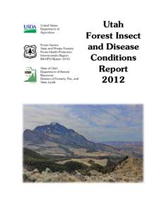 Phyla / Protostome / Bark beetle / Spruce Budworm / Thousand cankers disease / Mountain pine beetle / Utah / Disturbance / Curculionidae / Woodboring beetles / Biology