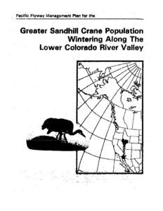 Sandhill Crane / Imperial Valley / Colorado River / Salton Sea / Crane / Imperial County /  California / Cibola National Wildlife Refuge / Grays Lake / Geography of California / Geography of the United States / Geography of Arizona