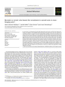 Recruiter or recruit: who boosts the recruitment in starved nests in mass foraging ants?