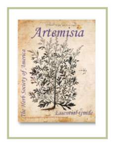 Artemisia / Southernwood / Absinthe / Sagebrush / Tarragon / Herb / Thujone / Wormwood / Artemisia maritima / Medicinal plants / Flora of the United States / Flora