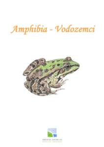 Razred Amphibia: Vodozemci Red CAUDATA: Repaši Porodica Salamandridae: Daždevnjaci 1. Ichthyosaura1 alpestris (Laurenti, 1768) ..............................................Planinski vodenjak 2. Lissotriton2 vulgaris 
