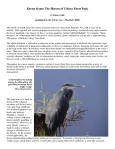 Green Scene: The Herons of Colony Farm Park by Elaine Golds (published by the TriCity News - March 8, 2013) The month of March kicks off a series of nature walks at Colony Farm Regional Park with a focus on its birdlife.