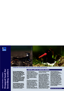 Animals / Biological pest control / Bird / Dinosaurs / Vanellinae / Zoology / Biology / Ornithology
