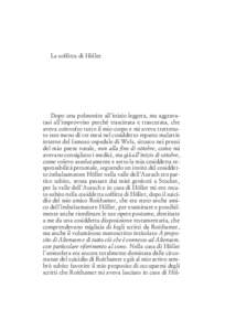 La soffitta di Höller  Dopo una polmonite all’inizio leggera, ma aggravatasi all’improvviso perché trascinata e trascurata, che aveva coinvolto tutto il mio corpo e mi aveva trattenuto non meno di tre mesi nel cosi