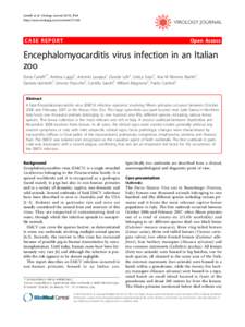 Canelli et al. Virology Journal 2010, 7:64 http://www.virologyj.com/contentCASE REPORT  Open Access