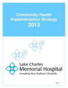 Microsoft Word - LCMH DRAFT Implementation Strategy FINAL.doc