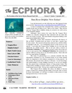 The  ECPHORA The Newsletter of the Calvert Marine Museum Fossil Club