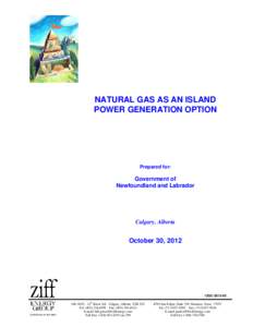 NATURAL GAS AS AN ISLAND POWER GENERATION OPTION Prepared for:  Government of